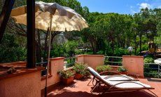 App. Pino | Terrazza - solarium Terrazza - solarium