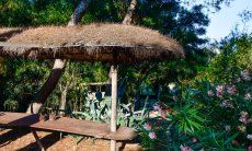 Villa Philippine | Posto all'ombra nel giardino New Picture 2018