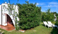 Villa Vela | Giardino verde con lettini per prendere il sole Giardino