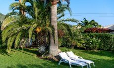 Villa Giangaleazzo | Giardino con lettini sotto palme Giardino