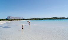 Cala Brandinchi, 25 km sud di Olbia