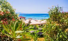 Vista attraverso oleandri e ombrelloni sul mare blu davanti alla spiaggia Le Bombarde Alghero