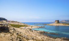 Vista dalla costa sulla torre spagnola della Pelosa, Stintino