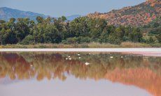 Laguna di Muravera