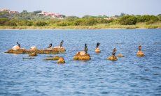 Laguna di San Teodoro