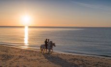 Cavalli sulla spiaggia di Rei Sole, Costa Rei all'alba