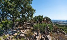 Villa Su Tauloni | Un posto fresco allßombra di un vecchio sughero Villa Su Tauloni, Is Molas, Sud Sardegna