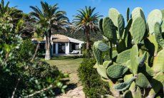 Villetta 3 | Vista della casa e del giardino di cactus Visione della casa Villetta 3 Costa Rei