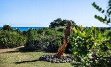 Villetta 3 | Di nuovo il gufo, il protettore del giardino Statua Guffo Villetta 3 Costa Rei