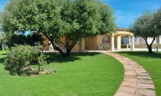 Villa Girasole | Prato Verde e albero secolari New Picture
