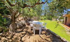 Villa Lucia | Tavolino da giardino sotto un olivo secolare New Picture