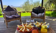 Bioloco | Colazione in terrazza con vista nel verde fino al mare New Picture 2024