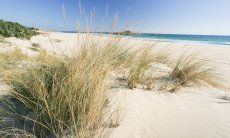 Villetta Pino | Chia, 6 km Spiaggia di Chia - 15 minuti in macchina