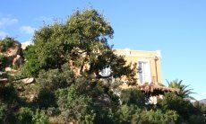 Villa Aquila Alta | Villa Aquila Alta nel bel mezzo di una fantastica vegetazione Villa