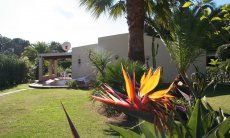 Villa Giangaleazzo | Fiori colorati nel giardino Giardino