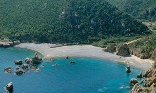 Tinnari | Sardegna Sardegna