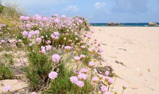 Sardegna