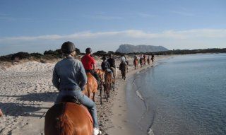 Sardegna