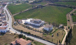 Vitivinicola Alberto Loi | Sardegna Sardegna