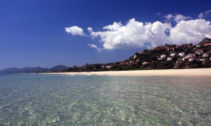 Nidi - sotto le nuvole