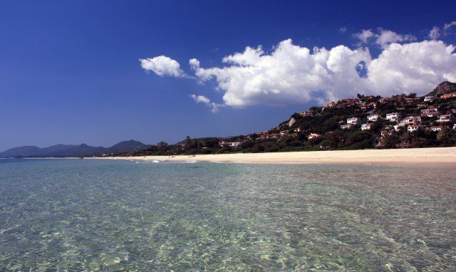 Nidi - sotto le nuvole